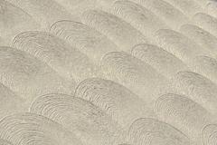 IMG-20250730-WA0099